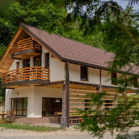 Ribnik Stari Trg Apartment Lesicno Luaran gambar