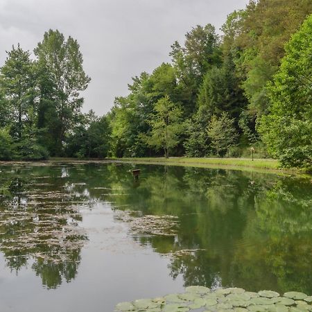 Ribnik Stari Trg Apartment Lesicno Luaran gambar