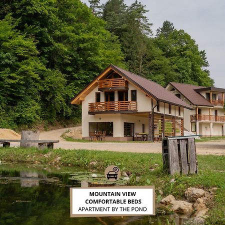 Ribnik Stari Trg Apartment Lesicno Luaran gambar