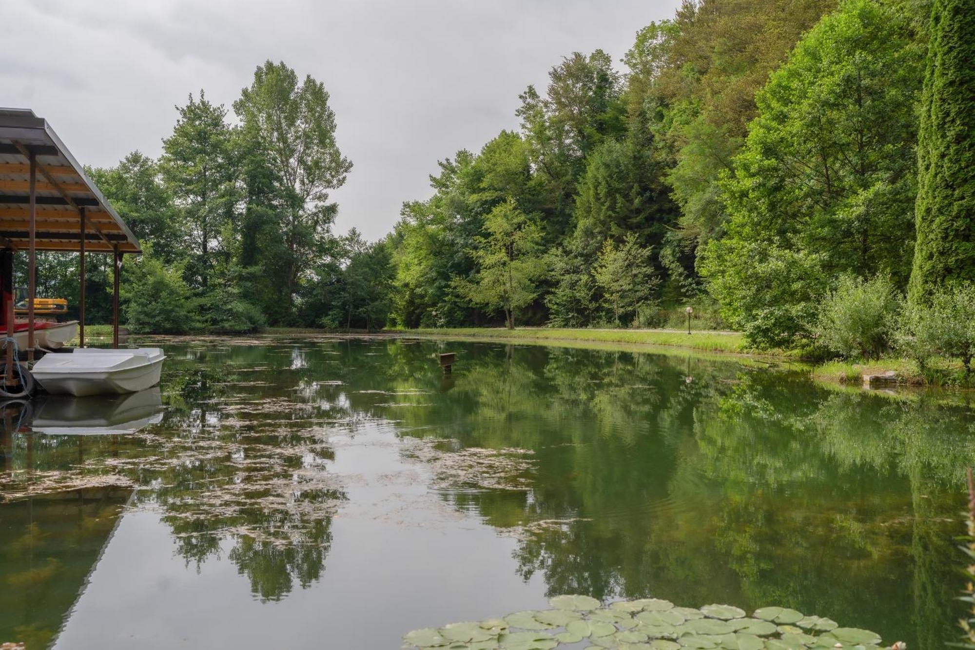 Ribnik Stari Trg Apartment Lesicno Luaran gambar