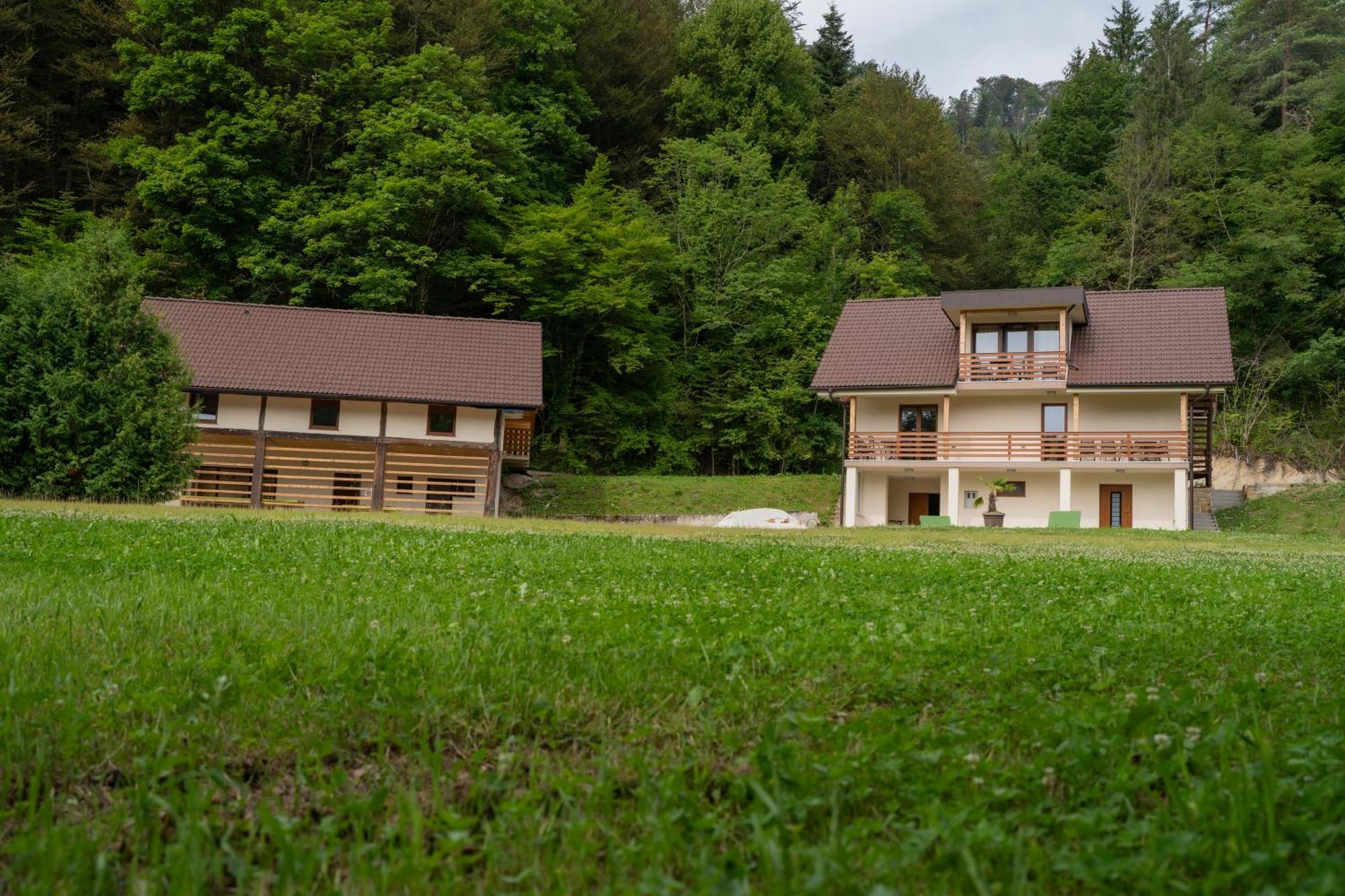 Ribnik Stari Trg Apartment Lesicno Luaran gambar